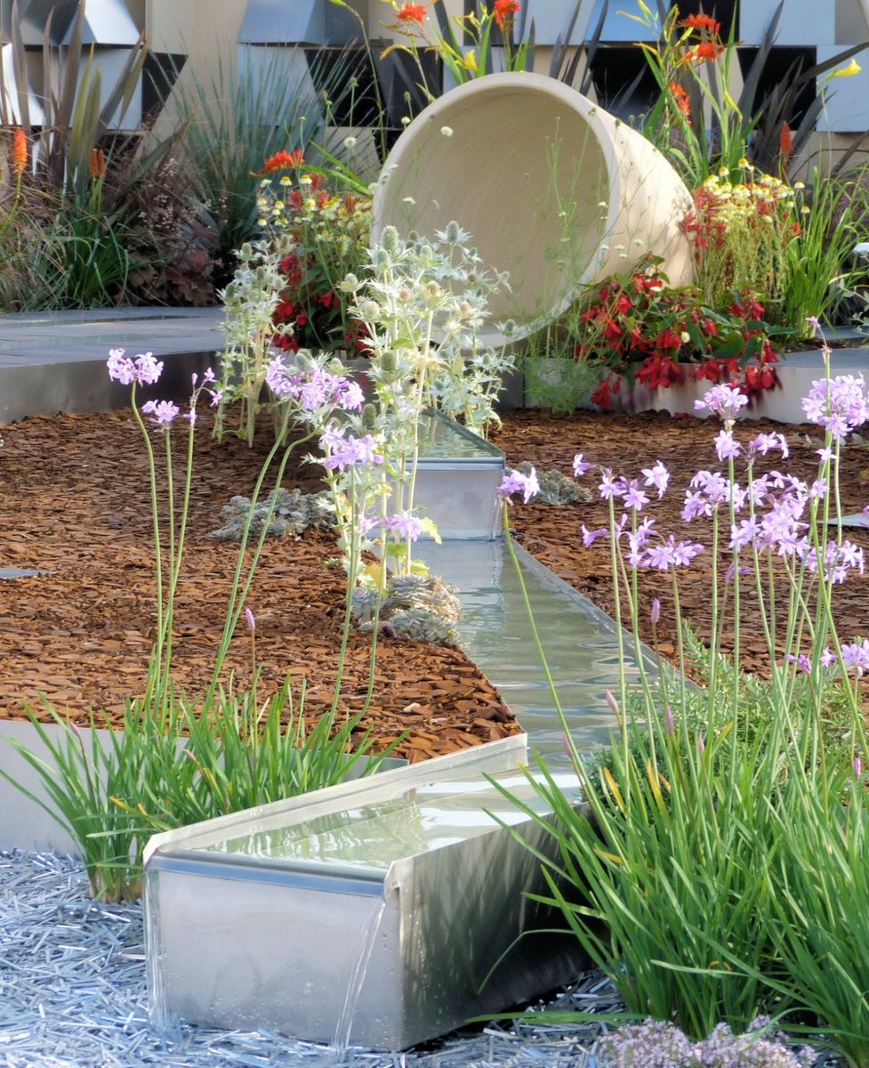 Fabricated stainless steel water rill with a stepped weir running through a planted bed